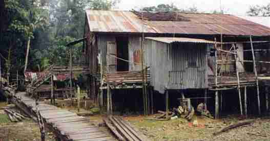 Longhouse dans le Sarawak sur l'île de Bornéo où vivent les tribus dayak