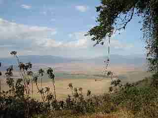 Vue sur le cratre de ngorongoro.