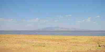 Les berges du lac manyara. Pour commencer votre safari  Manyara, cliquez sur la photo du lac.